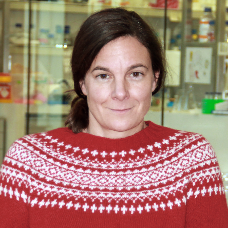 Professor of Computational Morphodynamics Katharina Schiessl