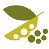 Legume pod graphic Legume pod graphic