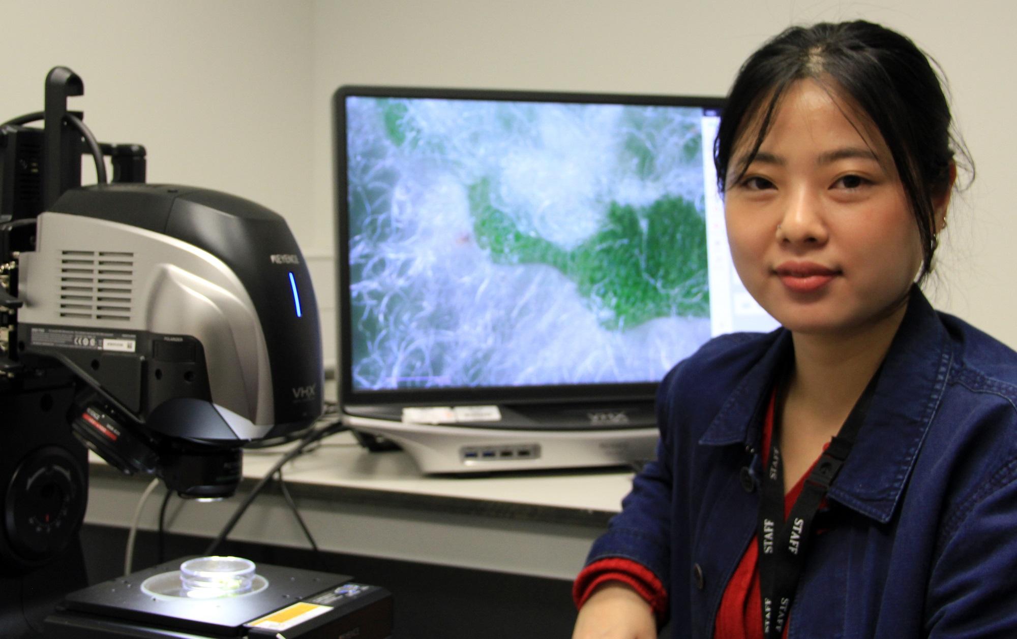 Jehnna Yang is exhibiting a novel plant-inspired plastic-free textile at the 2024 Milan Design Week. Yang is pictured examining the woolly farina of the alpine plant, Dionysia tapetodes, under a Keyence microscope at the Sainsbury Laboratory, Cambridge. 